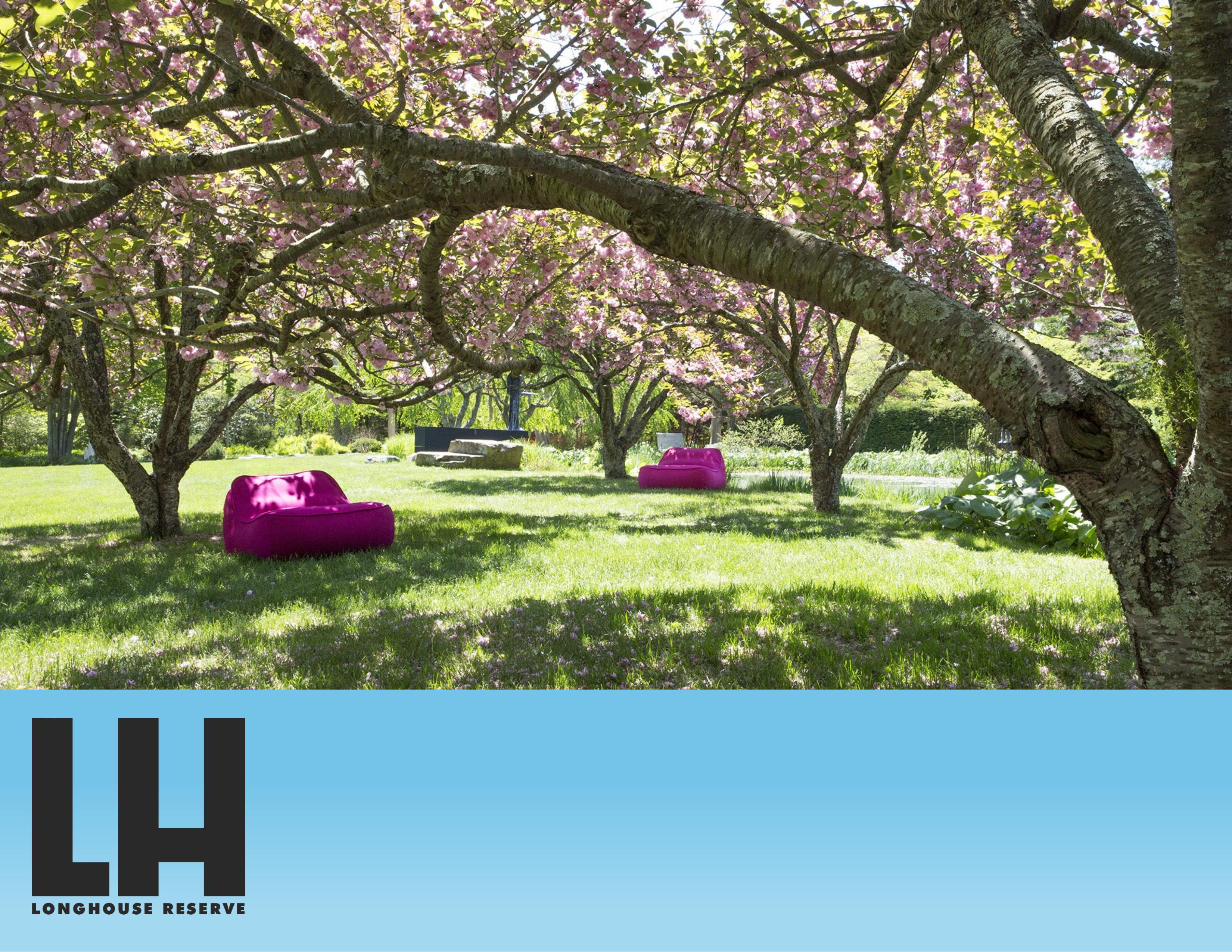 paola-lenti-special-preview-at-longhouse-reserve-james-lane-post
